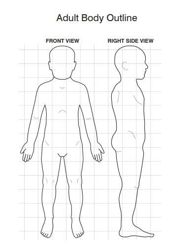 adult body outline
