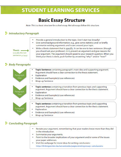 basic essay structure