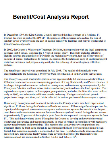 benefit costs analysis report
