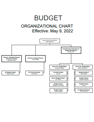 budget organizational chart