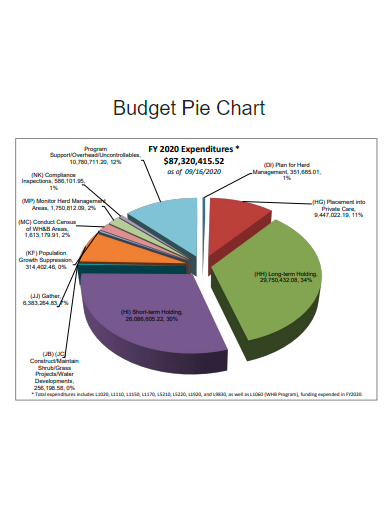 sample personal budget pie chart