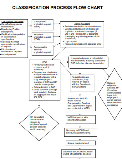 classification process flow chart