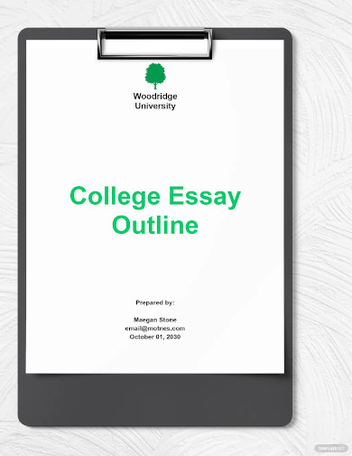 college essay outline1