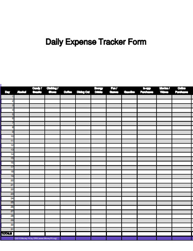 daily expense tracker form