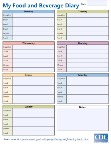 daily food log template 