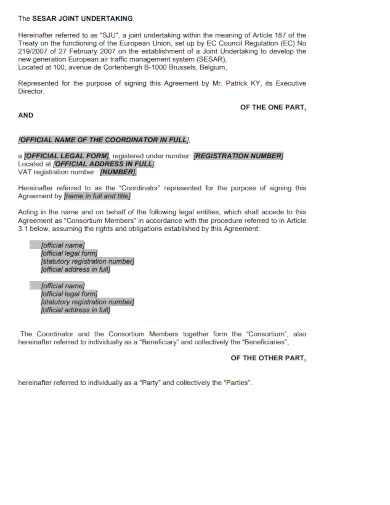 draft co financial agreement template