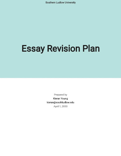 essay revision plan