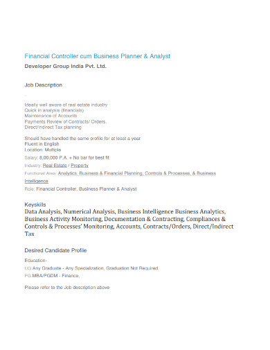 financial controller business planner