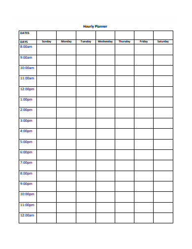 FREE 3+ Hourly Daily Planner Samples in PDF