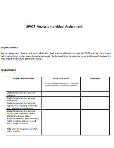 individual swot analysis assignment