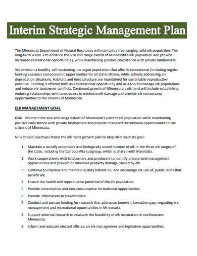 interim strategic management plan