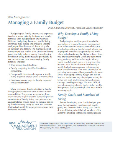 managing home budget project