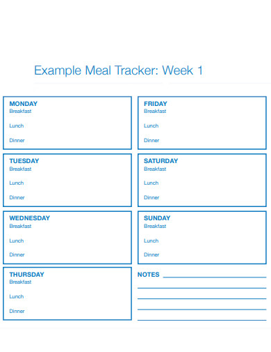 meal tracker example