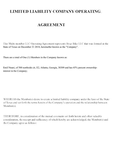 multi member llc operating agreement