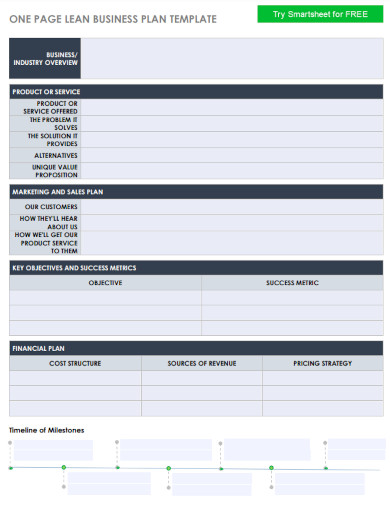 FREE 8+ Lean Business Plan Samples in PDF