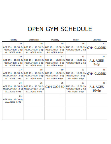 open gym schedule