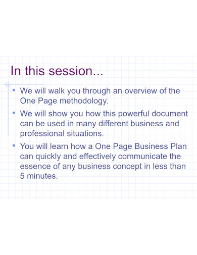 overview of one page business plan