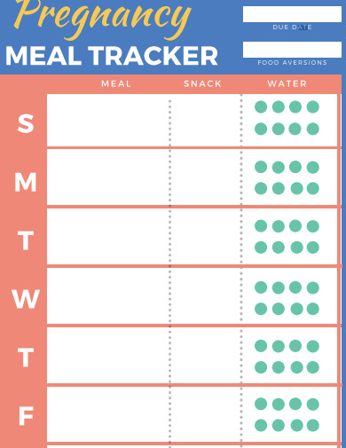 pregnancy meal tracker