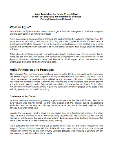 principles and practices agile burndown chart