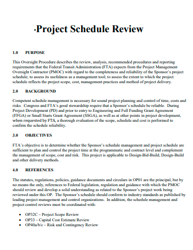 project schedule review
