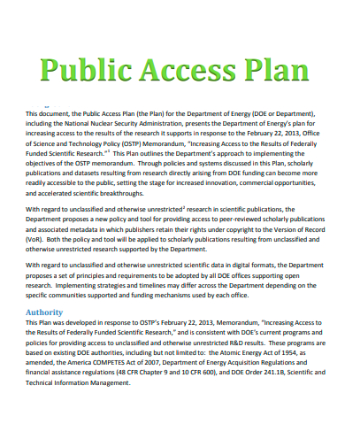 public access plan