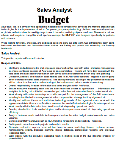 sales analyst budget