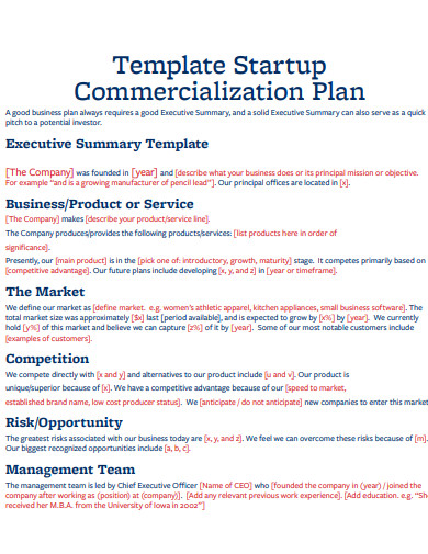 startup commercialization plan
