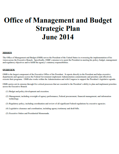 strategic office of management and budget plan