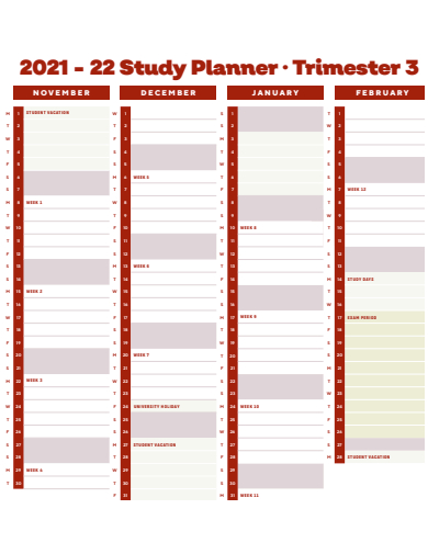 study planner in pdf