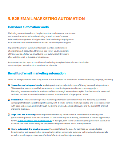 b2b email marketing automation