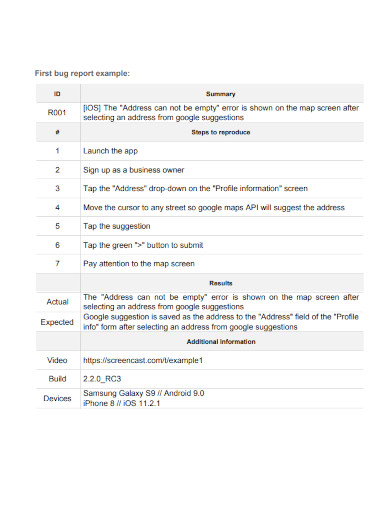 bug reports for project 