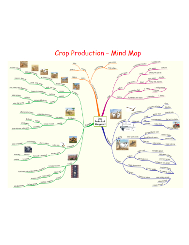 crop production mind map