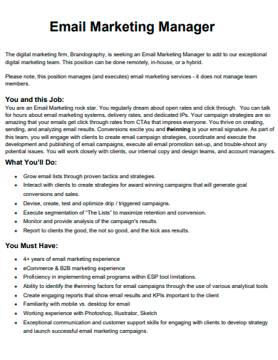 email marketing manager