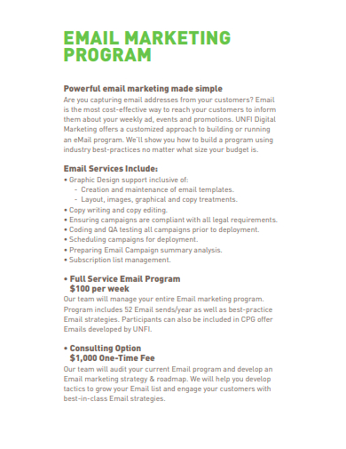 email marketing program
