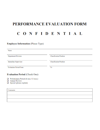 employee evaluation period form
