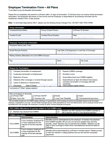 employee termination plan form