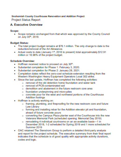executive budget project status report