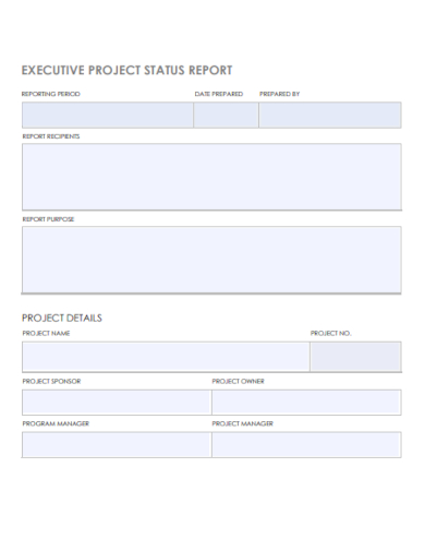 executive project status report