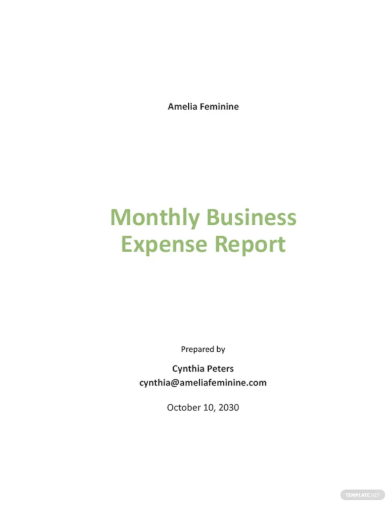 free monthly business expense report template