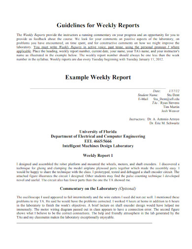guidelines for weekly reports