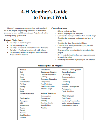 members project work