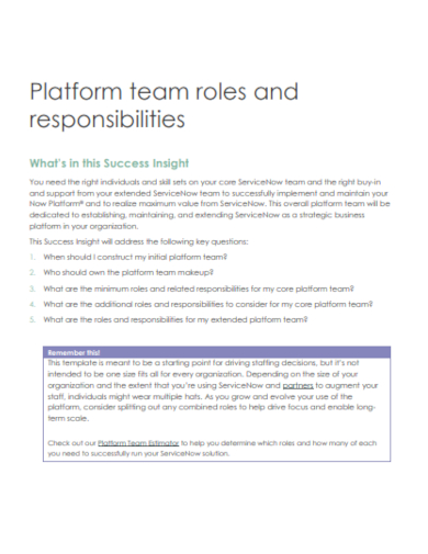 platform team roles and responsibilities