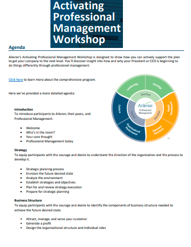 professional management workshop agenda