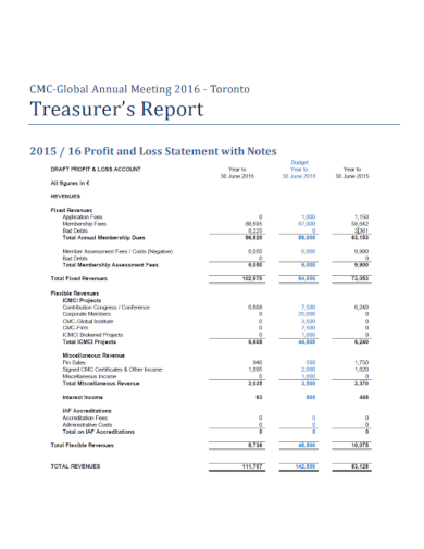 profit and loss treasurer report