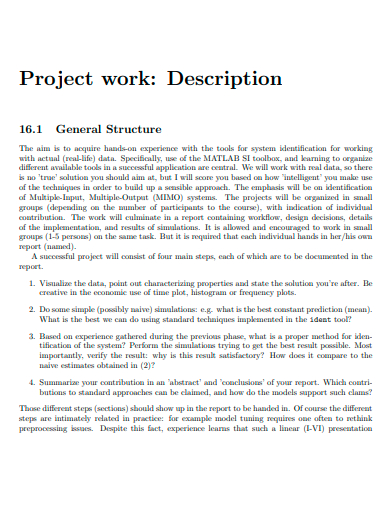 project work description