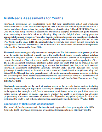 risk needs assessment for youths
