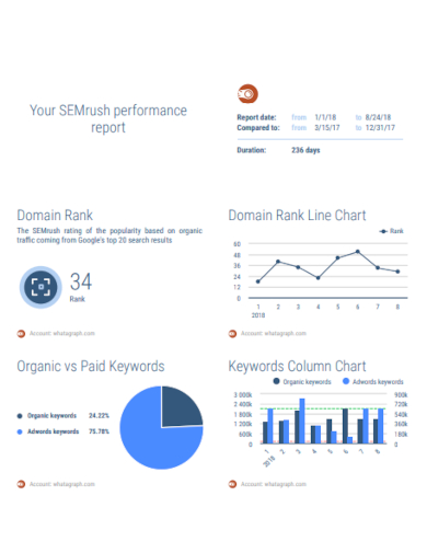 semrush performance report