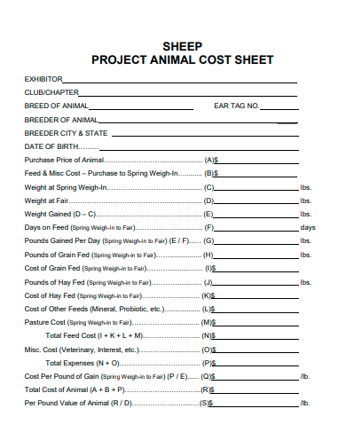sheep project animal cost sheet