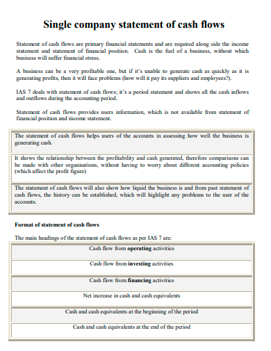 single company cash flow statement