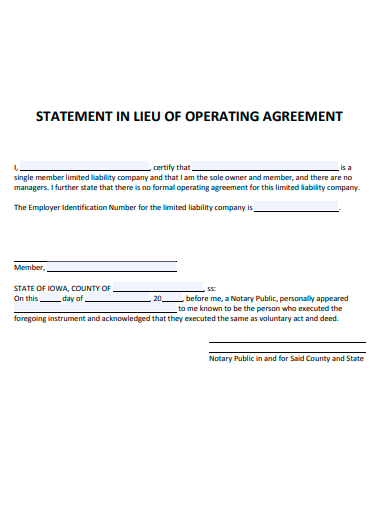 statement in lieu of operating agreement